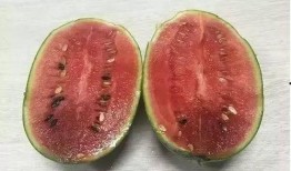 吃瓜吐个籽,揭秘瓜果中的营养与生活智慧