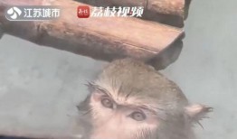 邯郸吃瓜霸凌,揭秘“吃瓜霸凌”背后的真相