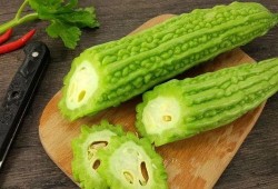 吃瓜篓,夏日消暑新宠的趣味与魅力