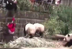 女子掉入湖里吃瓜,围观者竟现场吃瓜看热闹