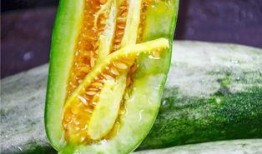 珍珠瓜怎样吃,探索美味新境界