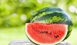 夏季吃瓜有讲究,健康养生有门道