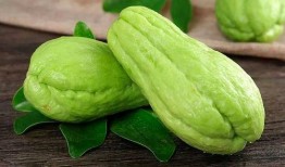 丁大筱吃瓜,揭秘娱乐圈幕后故事