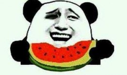 吃瓜吃起来,揭秘娱乐圈幕后故事