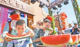 跳舞演出吃瓜,一场别开生面的舞蹈盛宴