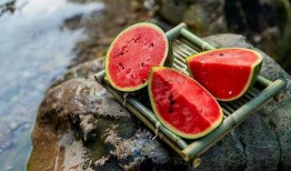 吃瓜客,吃瓜客带你领略明星幕后故事