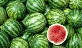 西方人吃瓜,揭秘瓜文化盛行背后的社会现象