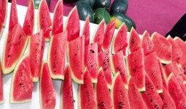 广州学校吃瓜事件,校园食品安全风波引发关注