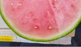 外国推荐吃瓜,揭秘各国必尝的“吃瓜”盛宴