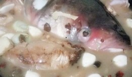 吃瓜胖头鱼,揭秘网络红人的爆红之路