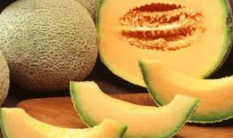 寒湿吃哈密瓜