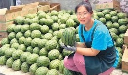 火了吃瓜,“火了吃瓜”现象背后的社会热点与娱乐焦点