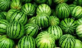 吃瓜群迷,网络社交新现象背后的故事