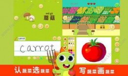 吃瓜绘画软件免费下载,轻松创作你的艺术世界