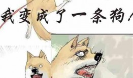 吃瓜吃死了小说在线阅读,一场意外的小说之旅