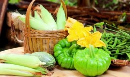 立秋了吃秋瓜,秋瓜养生正当时