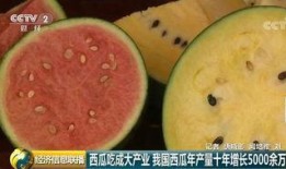 全球最大的吃瓜,全球最大“吃瓜群众”的狂欢盛宴