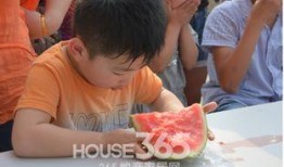 青城吃瓜大奇,揭秘网络热传的神秘事件