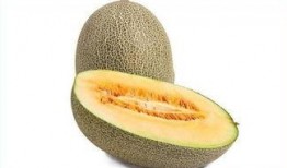 青年吃哈密瓜,青年们的哈密瓜美食之旅