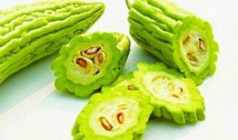 小蓝鸟在哪吃瓜,揭秘网络红人的瓜田生活