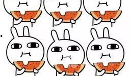 吃瓜也不老出门,揭秘出门必备攻略