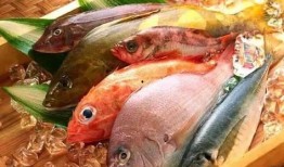 鱼民吃瓜船,揭秘吃瓜船的奇妙之旅