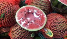 热心吃瓜群众上海,热心吃瓜群众聚焦热点事件