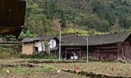 吃瓜禹城卖房子,吃瓜群众见证楼市新动向