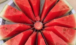 吃瓜大赛还是吃瓜比赛