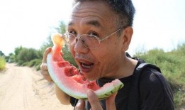 奇葩的法律带你吃瓜,奇葩法律背后的吃瓜故事