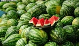 吃瓜在哪里吃,揭秘瓜果美食的流行之地