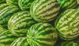 有瓜吃瓜没瓜找瓜,有瓜吃瓜，无瓜寻瓜