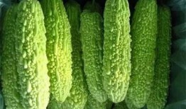 南宁小三吃瓜,一场城市热议的八卦盛宴