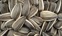 葵瓜孩子怎么吃,营养美味，健康成长的必备佳肴