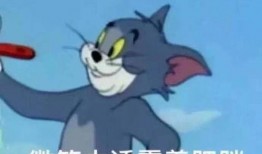 吃瓜表情包汤姆,揭秘网络红人的魅力与影响力