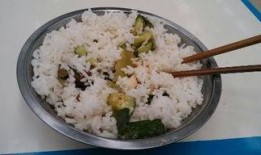 吃角瓜配米饭,美味搭配，营养满分的一餐