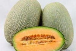 引流吃哈密瓜好吗