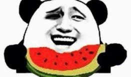 周某吃瓜群众,吃瓜群众的视角解读娱乐圈风云