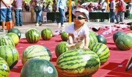 吃瓜在线大赛,全民狂欢，瓜界盛宴