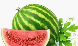 夏天吃瓜对身体好吗,吃瓜对身体的好处与注意事项