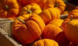 潍坊食品吃瓜,吃瓜也能吃出风味