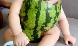 我吃瓜你吃皮怎么回复,揭秘“我吃瓜你吃皮”的智慧哲理