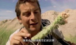 带你吃瓜贝爷,一起探索未知美食世界