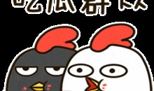 群里吃瓜群众,揭秘娱乐圈最新八卦风云