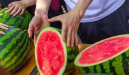 长沙大学吃瓜aj,吃瓜AJ，揭秘潮流与校园文化的碰撞