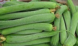 爱嘉哥吃瓜,揭秘娱乐圈那些不为人知的幕后故事