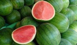 有瓜吃瓜没瓜找瓜,有瓜吃瓜，无瓜寻瓜