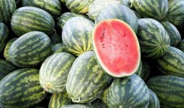 66全网吃瓜爆料,揭秘娱乐圈幕后真相