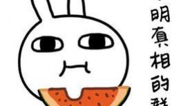 吃瓜模式拍照,揭秘娱乐圈幕后故事