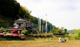 吃瓜禹城卖房子,吃瓜群众见证楼市新动向